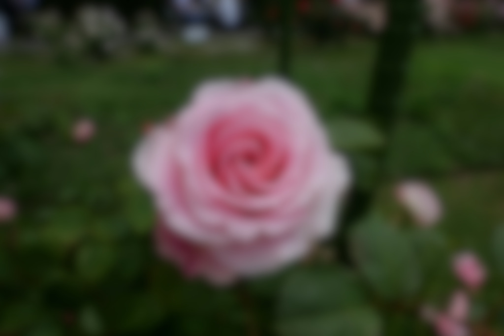 f:id:art2nd:20200816142204j:plain f:id:art2nd:20200816142204j:plain