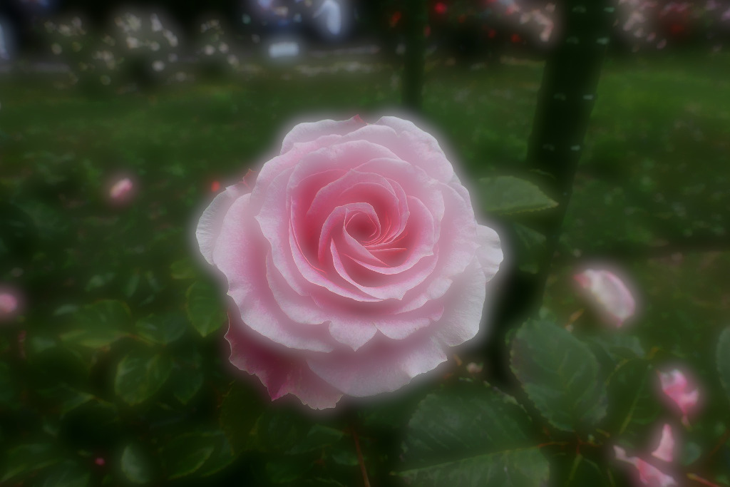 f:id:art2nd:20200816142325j:plain f:id:art2nd:20200816142325j:plain