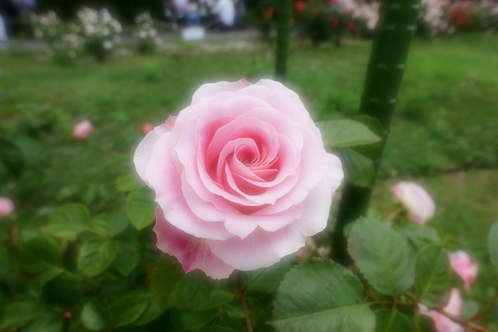 f:id:art2nd:20200816142428j:plain f:id:art2nd:20200816142428j:plain