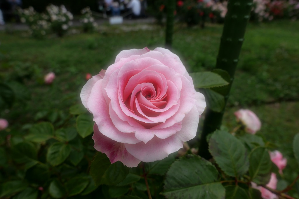 f:id:art2nd:20200816153940j:plain f:id:art2nd:20200816153940j:plain