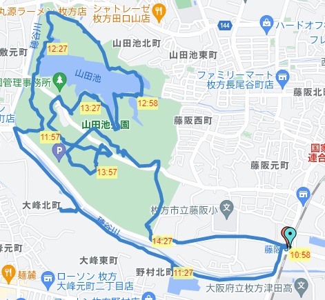 大阪府枚方市 穂谷川の河津桜は三分咲き 山田池公園の梅は見頃 マンサク ロウバイ 晴歩雨描