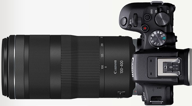 野鳥撮影用カメラとして「EOS R10＋RF100-400mm F5.6-8 IS USM