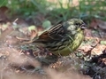 20260221162504