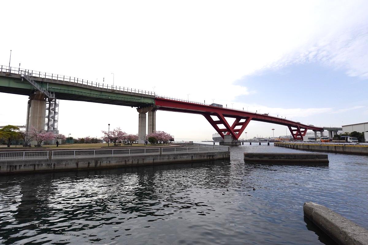 神戸）灘浜緑地公園、西郷川河口公園。河津桜見ごろ。 - 晴歩雨描