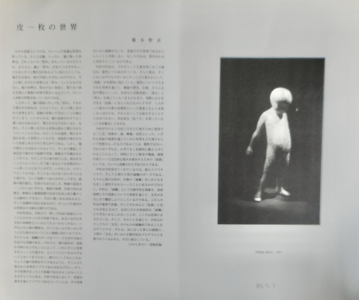 Negrepont 中村哲也 「ポーズ」。1997.7.1~7.19。ギャラリー小柳。 - アート観客 since 1996