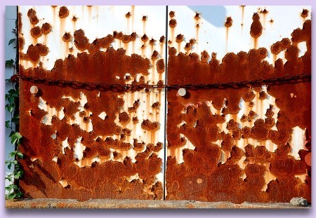 f:id:artfoods:20070607113758j:image