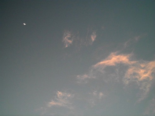 f:id:artfoods:20071004072512j:image