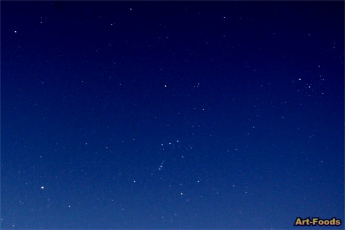 f:id:artfoods:20071022110221j:image