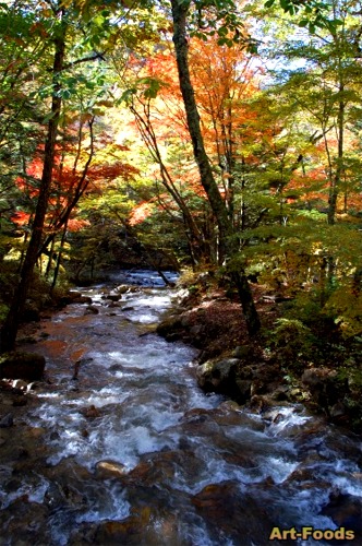 f:id:artfoods:20071029091606j:image