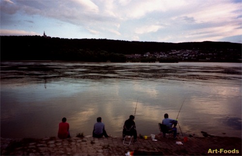 f:id:artfoods:20071031090501j:image