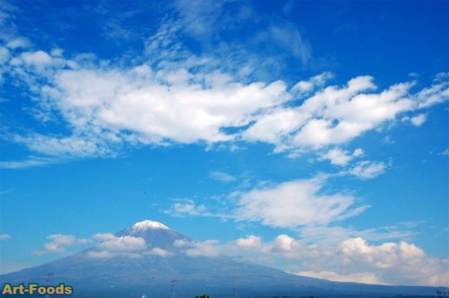 f:id:artfoods:20071105120833j:image