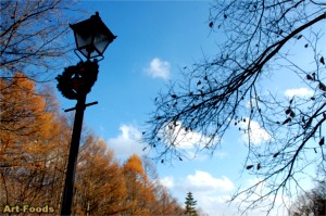 f:id:artfoods:20071118060016j:image:right