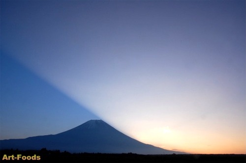 f:id:artfoods:20071118140330j:image