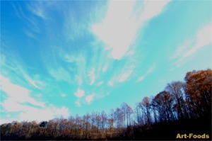 f:id:artfoods:20071203110238j:image:left f:id:artfoods:20071203110238j:image:left