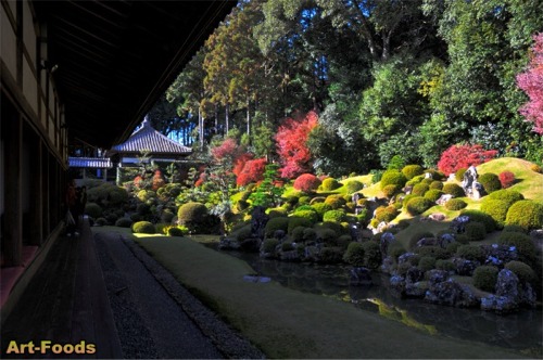 f:id:artfoods:20071210073113j:image