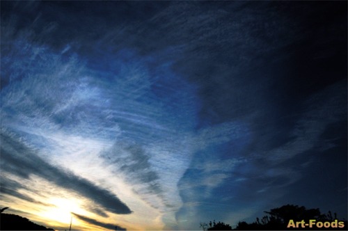 f:id:artfoods:20071214130212j:image:left