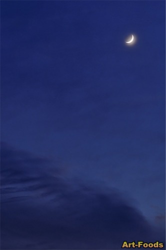 f:id:artfoods:20071214130722j:image:left