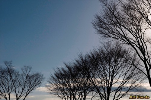 f:id:artfoods:20080118062006j:image f:id:artfoods:20080118062006j:image