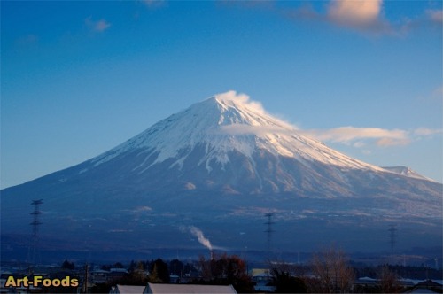 f:id:artfoods:20080205102001j:image