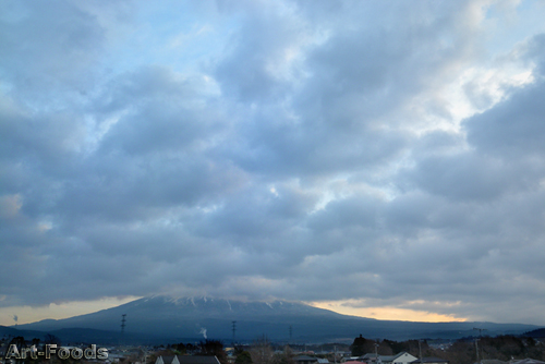 f:id:artfoods:20090121081103j:image