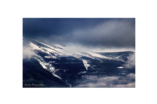 f:id:artfoods:20090121094922j:image