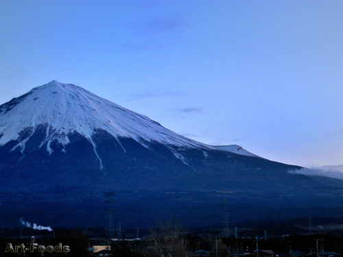 f:id:artfoods:20090124071404j:image