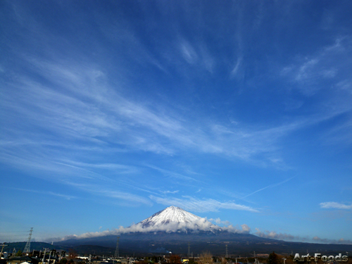 f:id:artfoods:20090129162010j:image