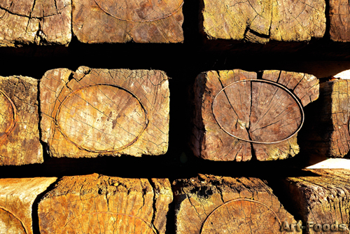 f:id:artfoods:20090215053358j:image
