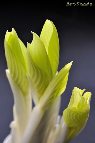 f:id:artfoods:20090319071644j:image:left