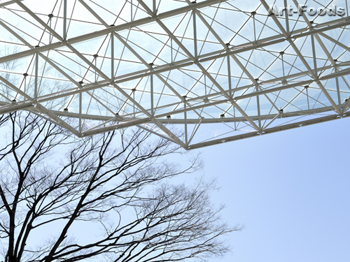 f:id:artfoods:20090325150343j:image:w240:left