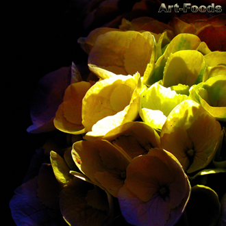 f:id:artfoods:20090325150515j:image:w200:right