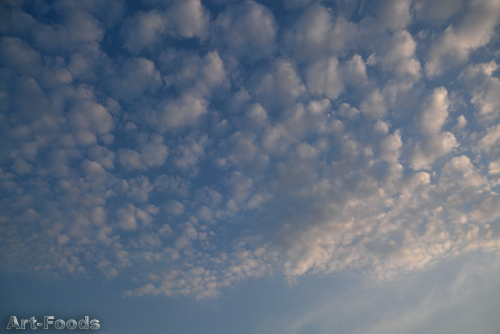 f:id:artfoods:20090426091028j:image