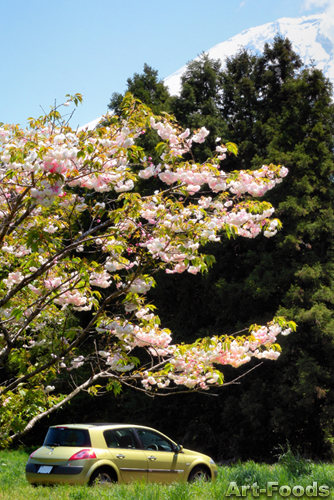 f:id:artfoods:20090430084122j:image:w200:right f:id:artfoods:20090430084122j:image:w200:right