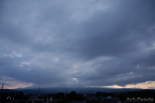 f:id:artfoods:20090601053442j:image:w330