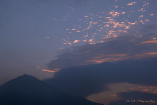 f:id:artfoods:20090613092204j:image