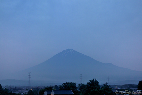 f:id:artfoods:20090628063353j:image