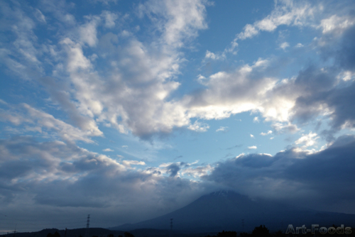 f:id:artfoods:20090629071647j:image