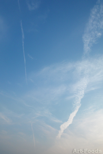 f:id:artfoods:20090701045449j:image:w300