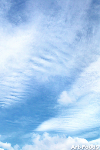 f:id:artfoods:20090713110251j:image:w120:left