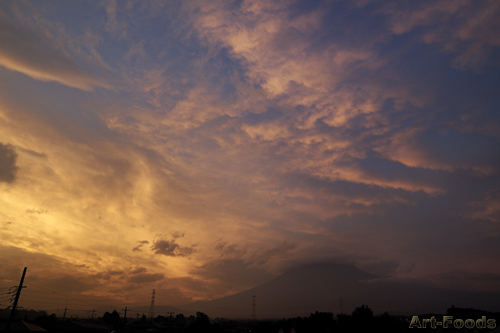 f:id:artfoods:20090720073618j:image