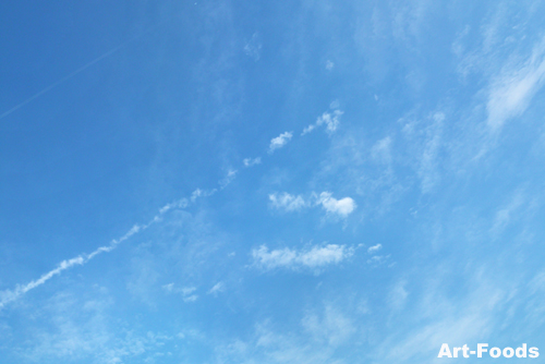 f:id:artfoods:20090721080929j:image:w300:right