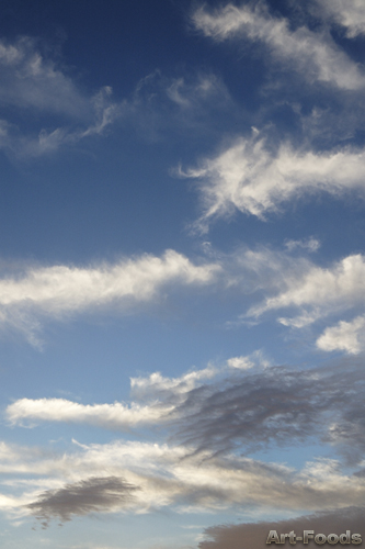 f:id:artfoods:20090724044038j:image