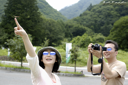 f:id:artfoods:20090726141901j:image