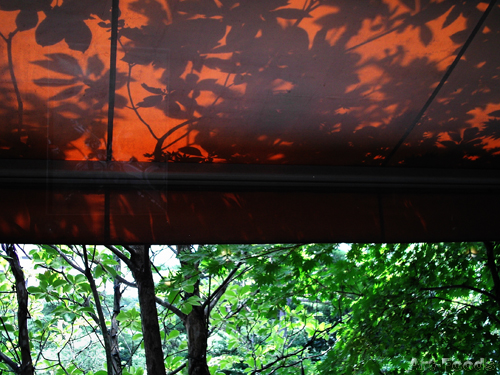 f:id:artfoods:20090812061018j:image:w420 f:id:artfoods:20090812061018j:image:w420