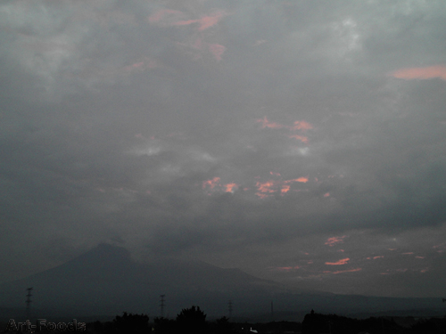 f:id:artfoods:20090814054252j:image:w400