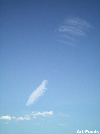 f:id:artfoods:20090819060217j:image f:id:artfoods:20090819060217j:image