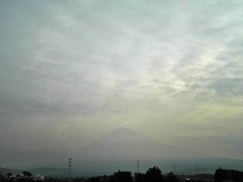 f:id:artfoods:20090820065916j:image:w360