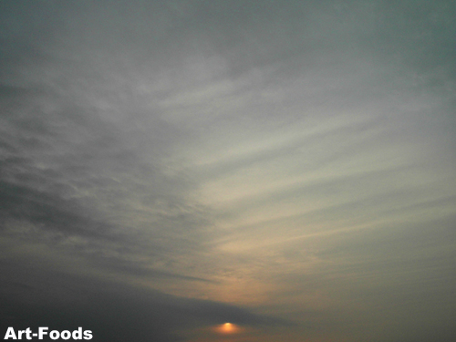 f:id:artfoods:20090820065923j:image:w360:right