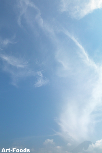 f:id:artfoods:20090820093727j:image:right