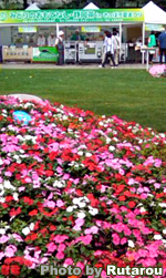 f:id:artfoods:20090821121602j:image:right